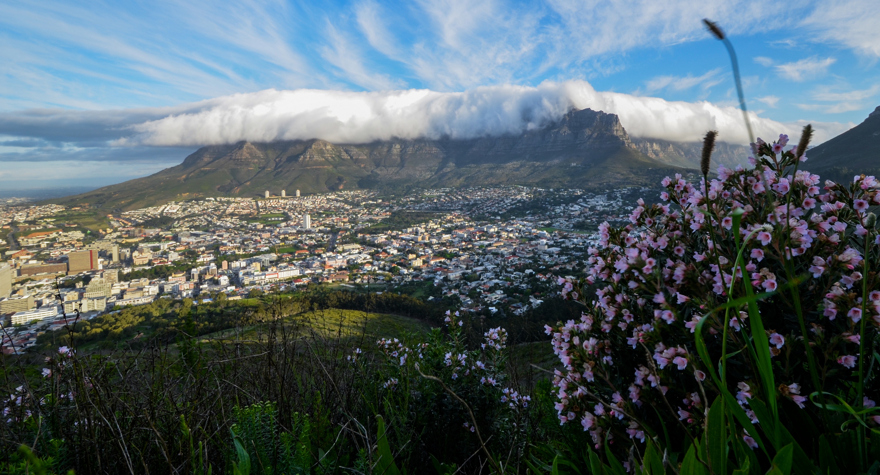 Table Mountain Table Mountain