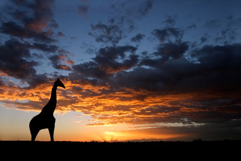 South African Sunset South African Sunset