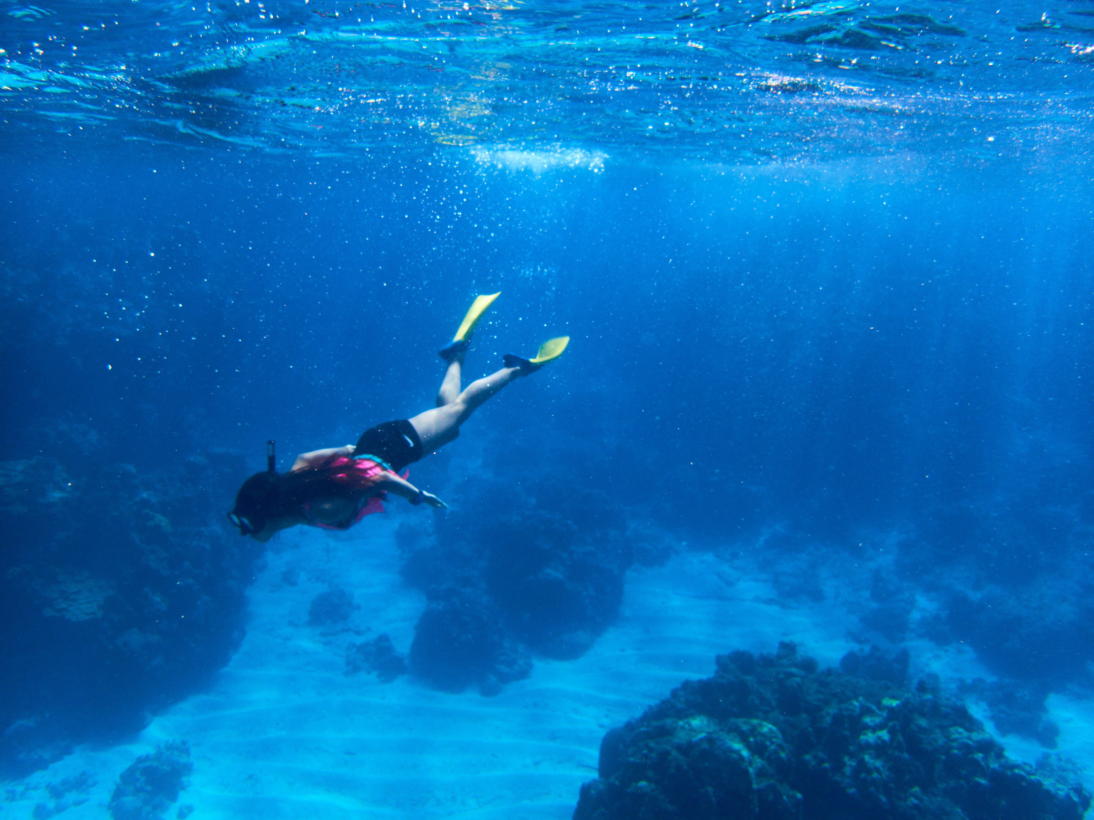 Villas to rent in Jamaica Snorkeling - Jamaica