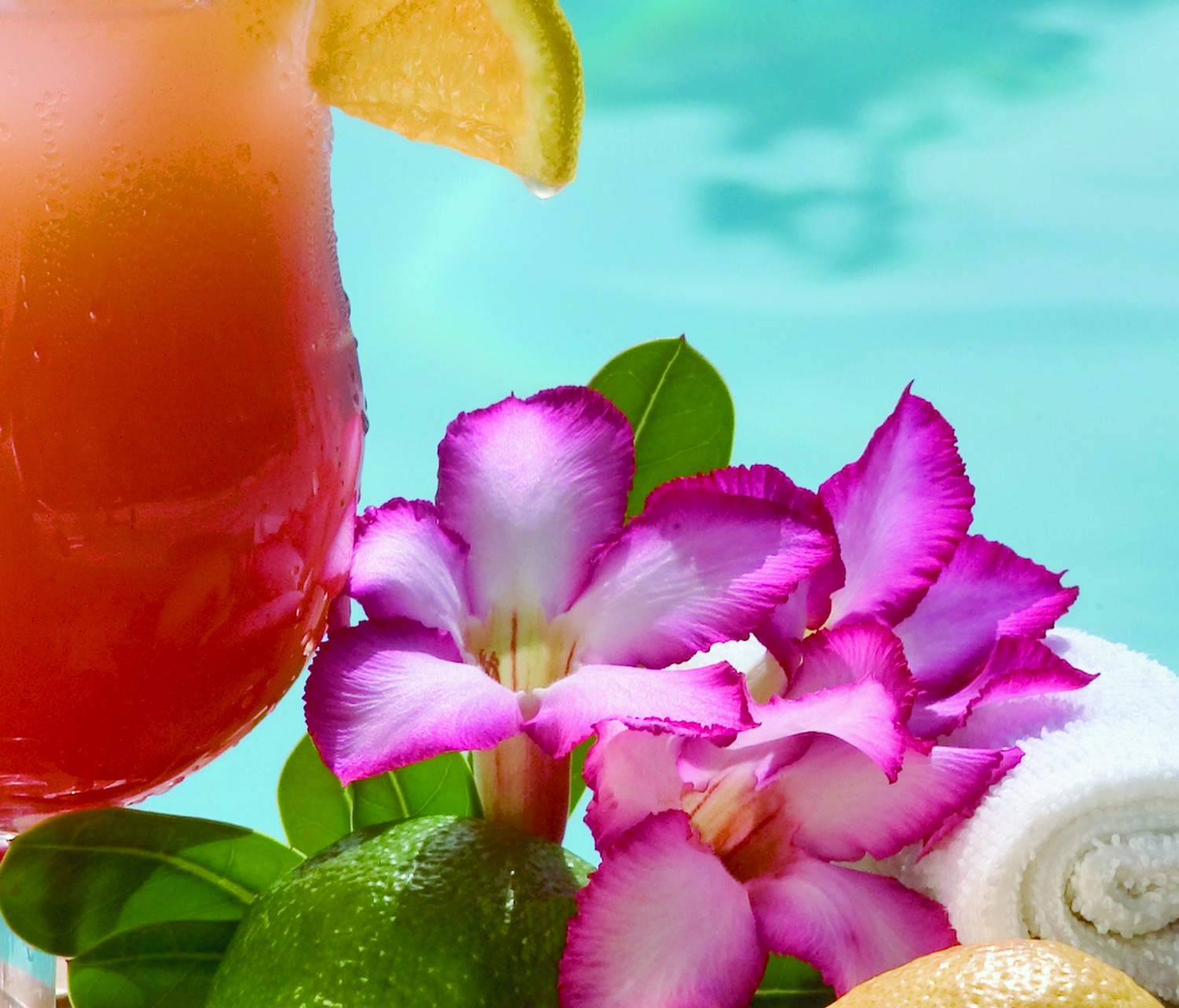 Villas to rent in Turks & Caicos Poolside Refreshments