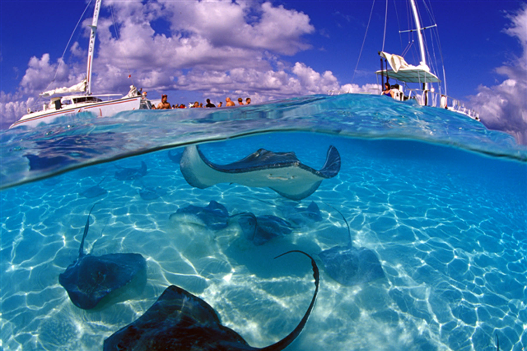 Cayman Island Villas