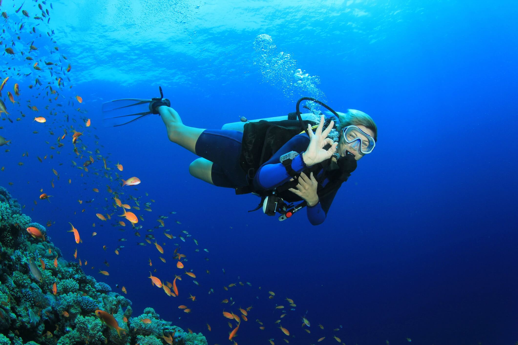 Diving in the Cayman Islands