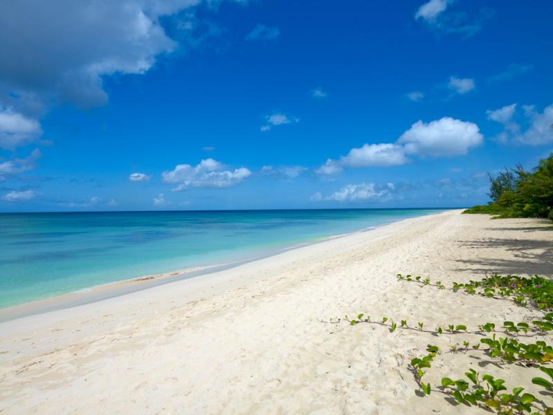 Crowsnest Villa- Beachfront , Beachfront villas Barbados , Christ Church  , South Coast Barbados , St Michael  