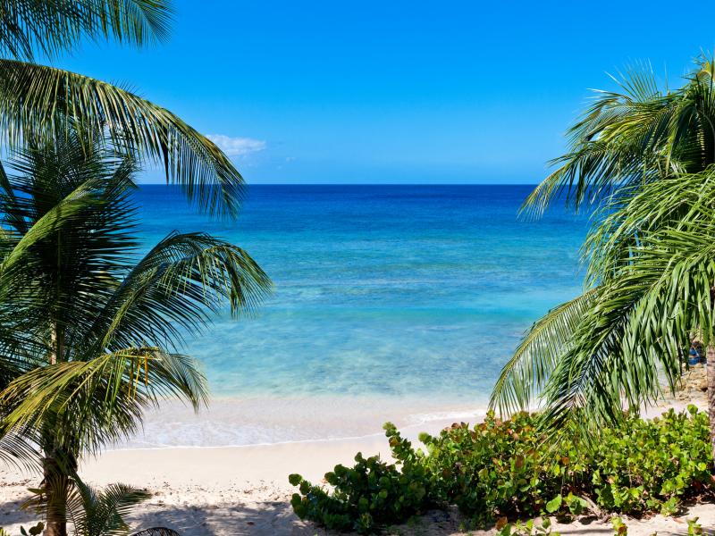 Schooner Bay 201 - Flamboyant - Beachfront , Beachfront villas Barbados , Schooner Bay , Speightstown , St Peter , West Coast Barbados  