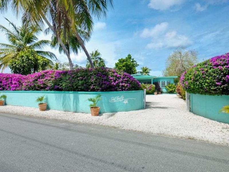 Sea Turtle , Beachfront villas Barbados , West Coast Barbados  