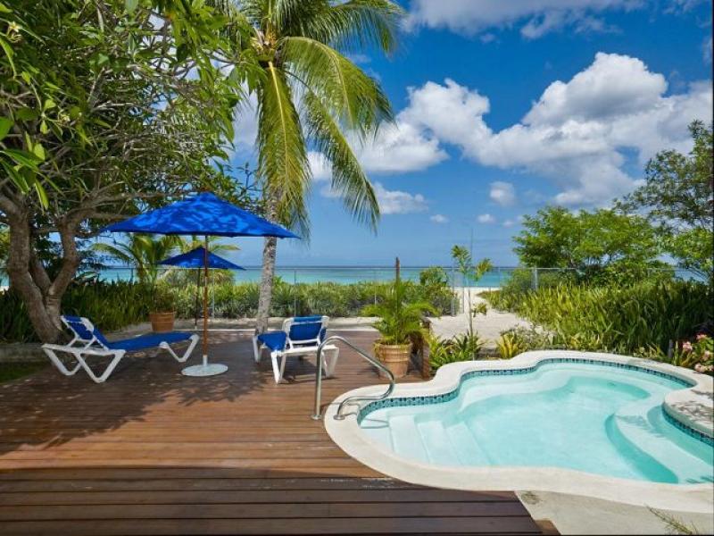 Sea Turtle , Beachfront villas Barbados , West Coast Barbados  