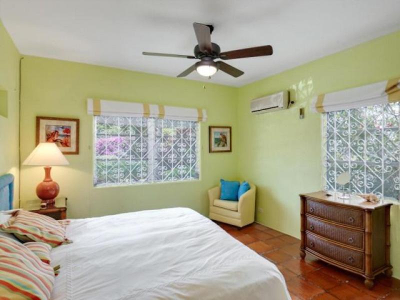 Sea Turtle , Beachfront villas Barbados , West Coast Barbados  