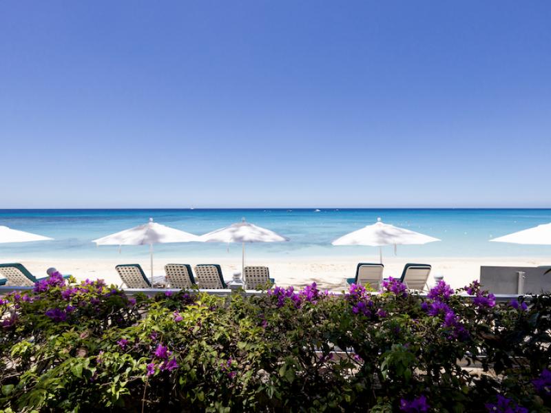Old Trees 2 - Azzurro , Beachfront villas Barbados , Old Trees , Paynes Bay , St James , West Coast Barbados  