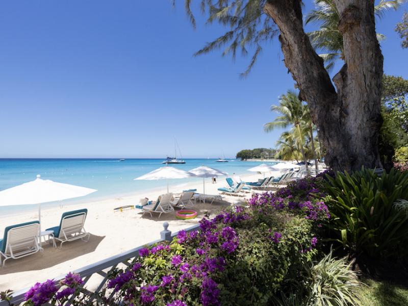 Old Trees 2 - Azzurro , Beachfront villas Barbados , Old Trees , Paynes Bay , St James , West Coast Barbados  