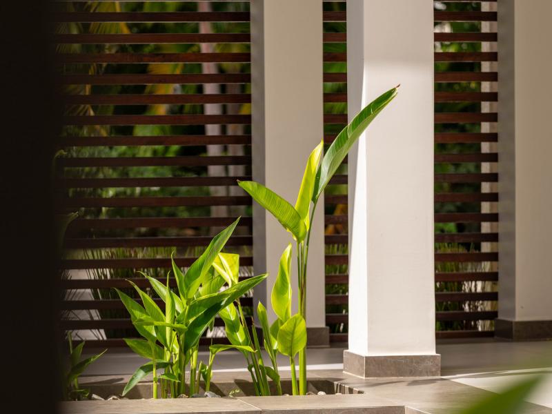 Royal Westmoreland - Seaduced , Royal Westmoreland , St James , West Coast Barbados  