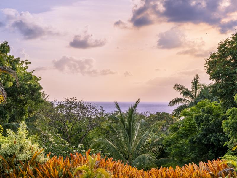 Sandy Lane Estate - Villa Phoenix , Sandy Lane Estate , St James , West Coast Barbados  