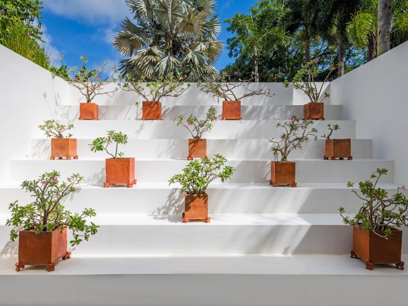 Tara House  , Speightstown , St Peter , West Coast Barbados  