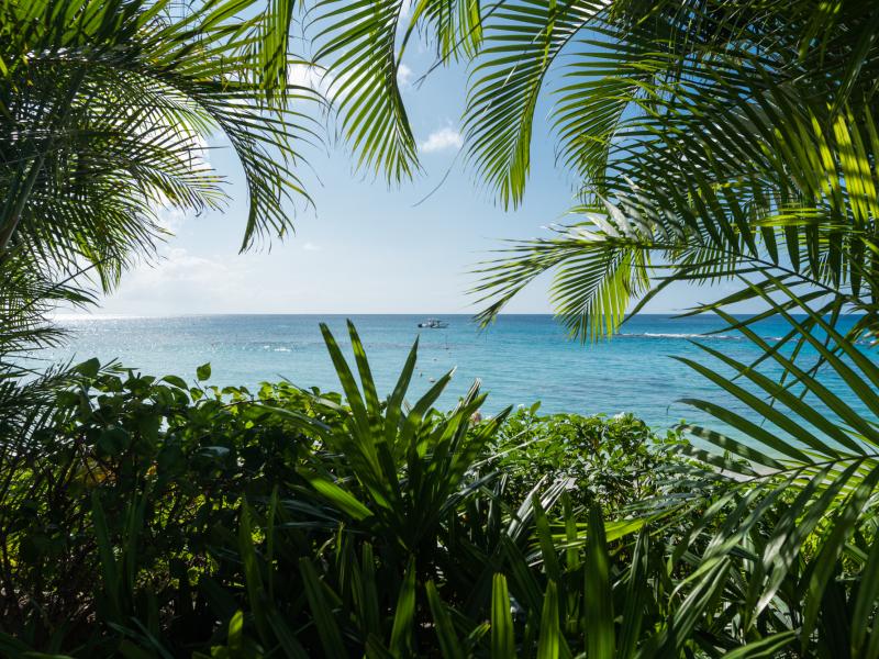 Tamarindo Villa - Beachfront , Beachfront villas Barbados , Beachlands , Holetown , St James , West Coast Barbados  