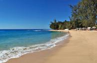 Coral Cove 15